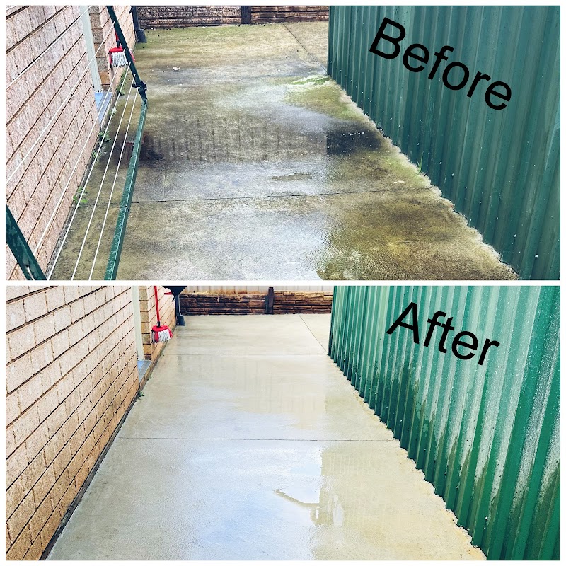 Oak’s Gardening project 4