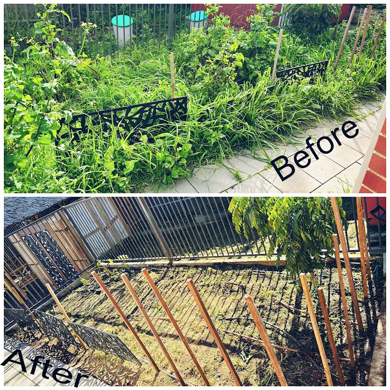 Oak’s Gardening project 5