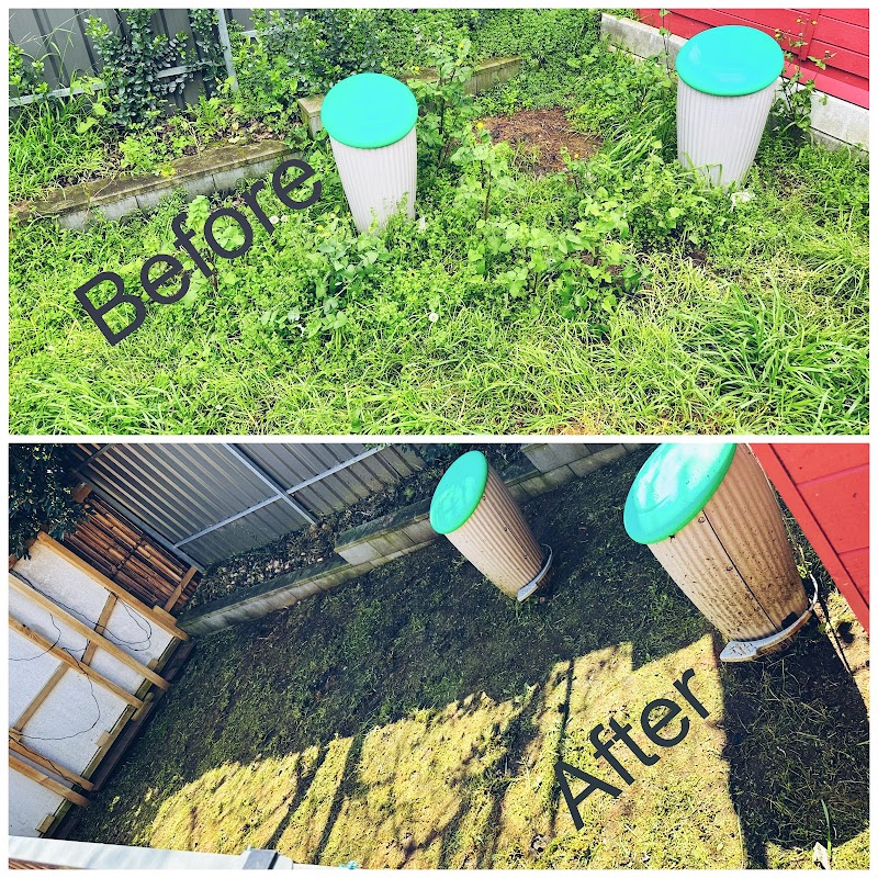 Oak’s Gardening project 6