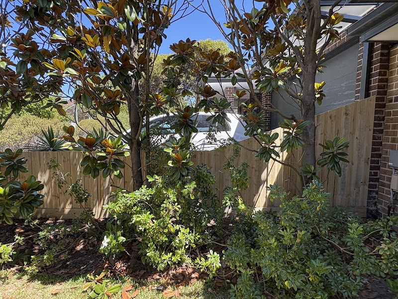 Oasis Fencing work 2