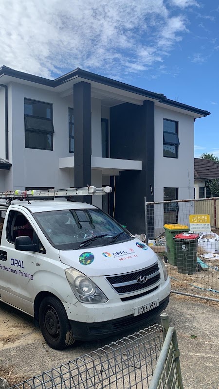 opal professional company project 5