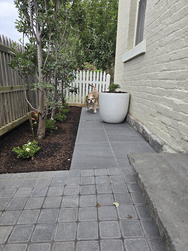 Outer Spaces Landscaping (Est. 2012) project 9
