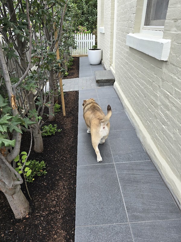 Outer Spaces Landscaping (Est. 2012) project 10
