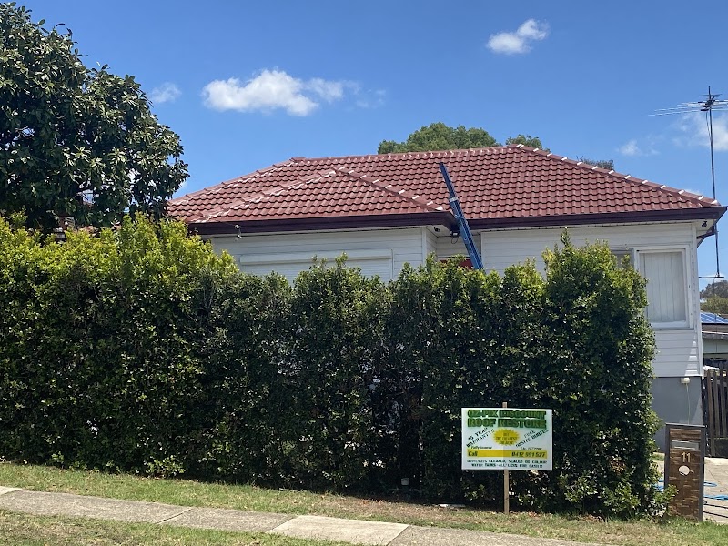 Oz Pix Discount Roof Restore project 5