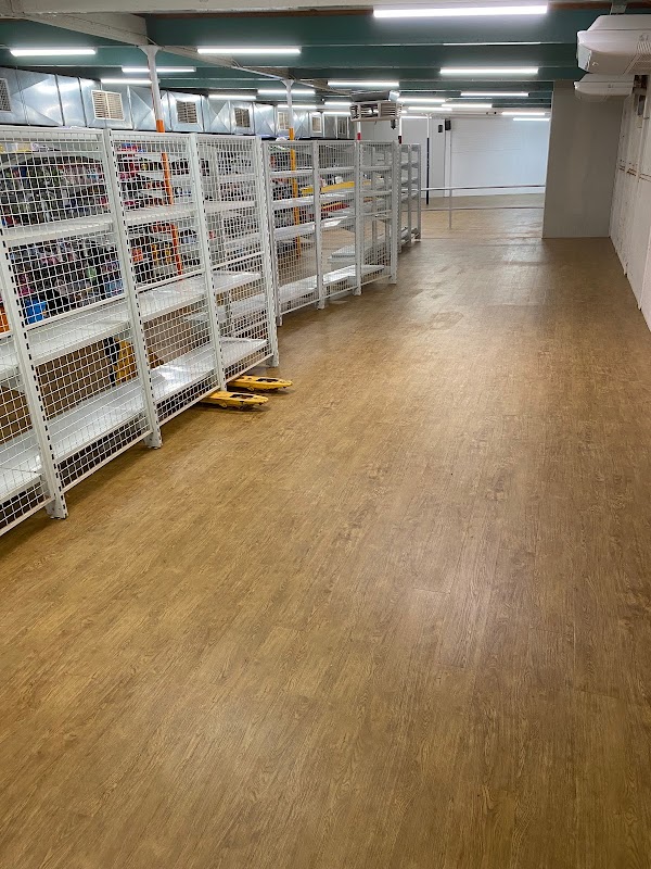 Ozwide Flooring work 3