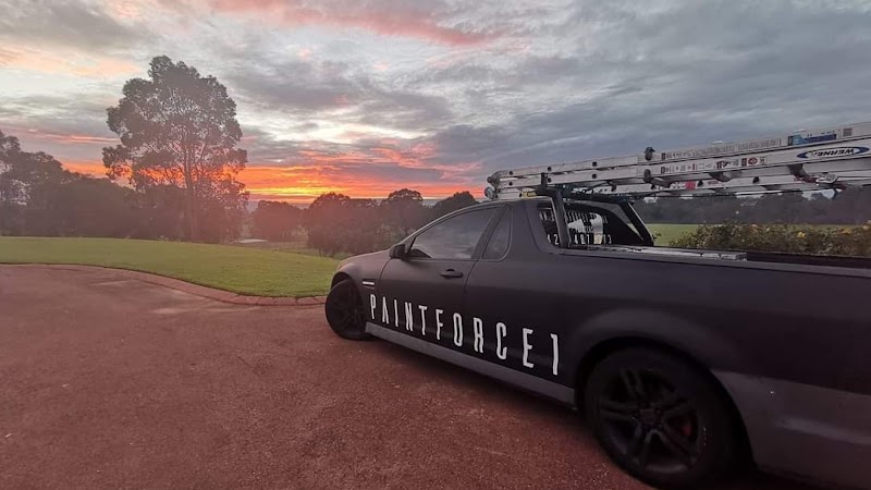 PAINT FORCE 1 photo 1