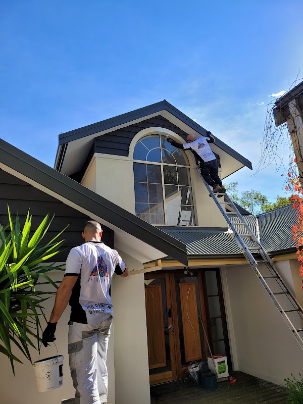 PAINT FORCE 1 project 6