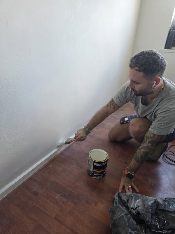 Painter Frankston project 6