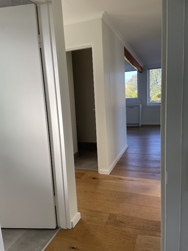 Painting And Property services work 2