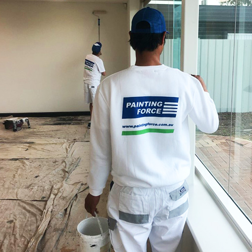 Painting Force project 6