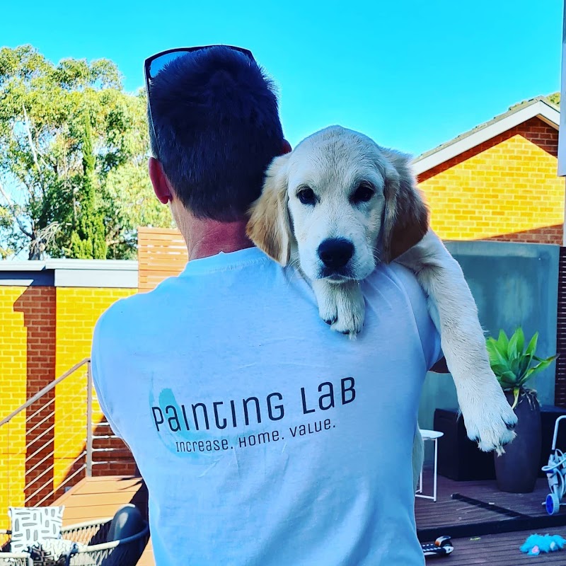 Painting Lab - Gold Coast project 8