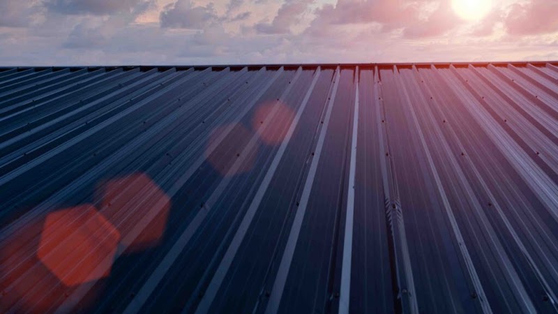 Paku Roof Services work 1