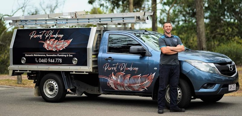 Parrot Plumbing work 1