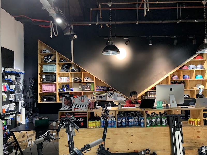 PedL - Workshop project 7