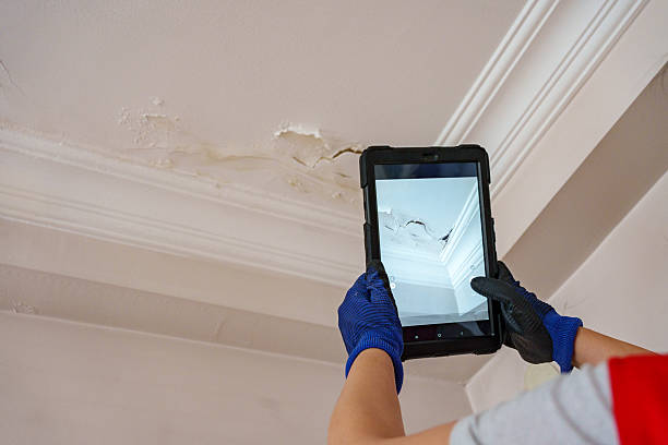 Peel Ceilings photo 2