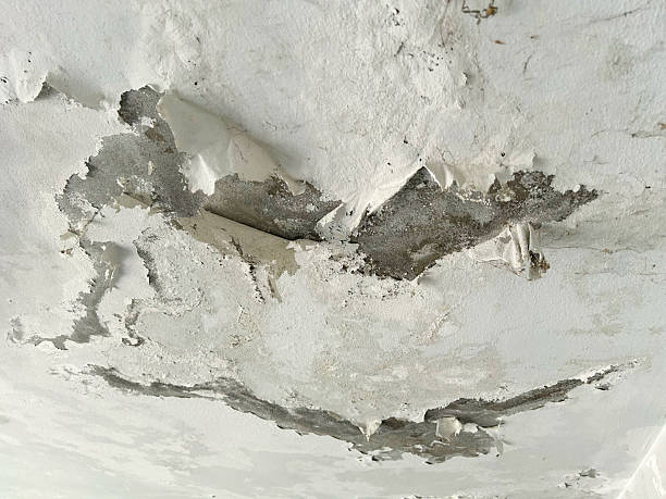 Peel Ceilings project 9