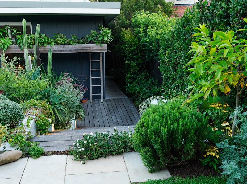 Pepo Botanic Design photo 3