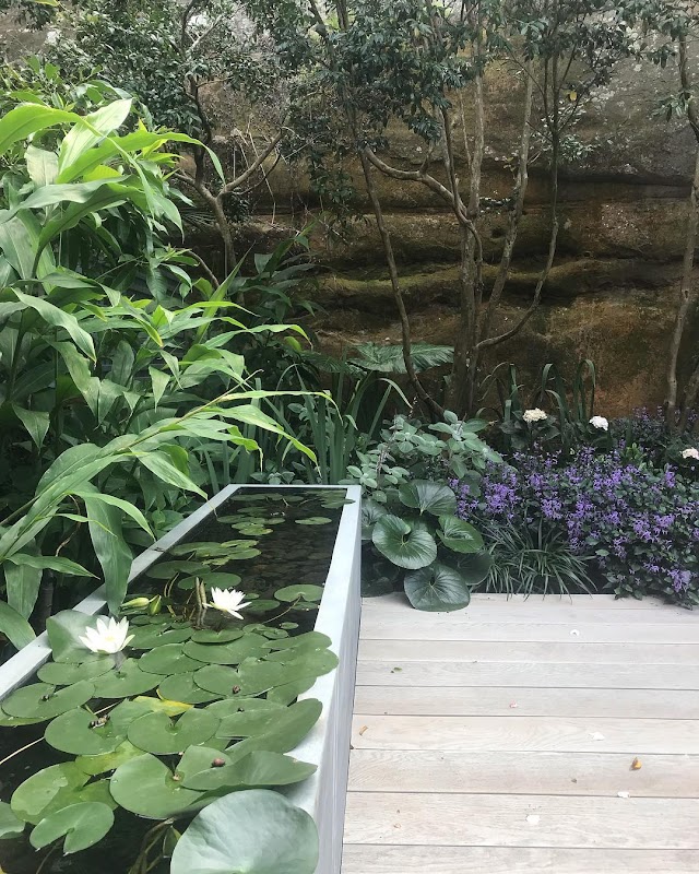 Pepo Botanic Design project 5