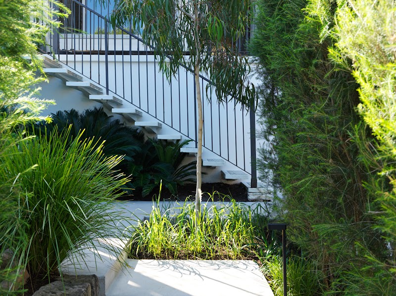 Pepo Botanic Design project 6