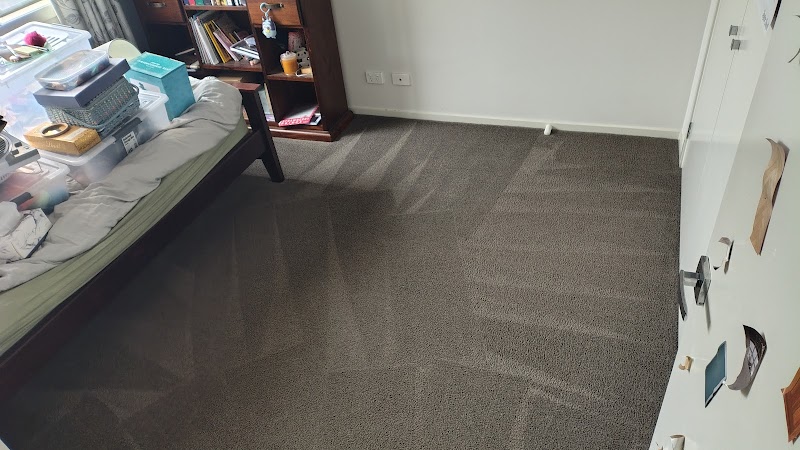 Perfect Steam Cleaners work 1