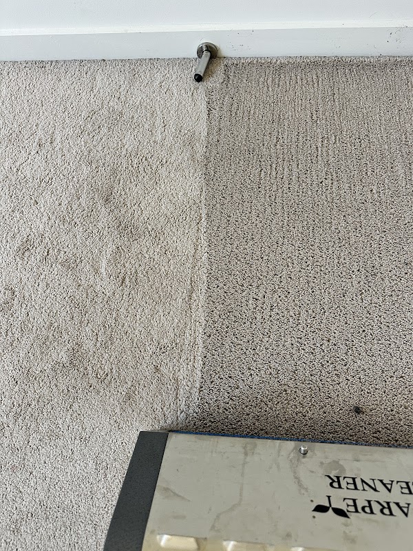 Perfect Steam Cleaners project 7