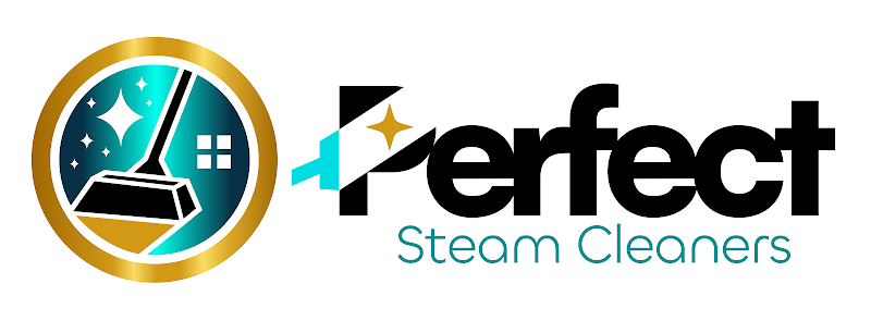 Perfect Steam Cleaners project 8
