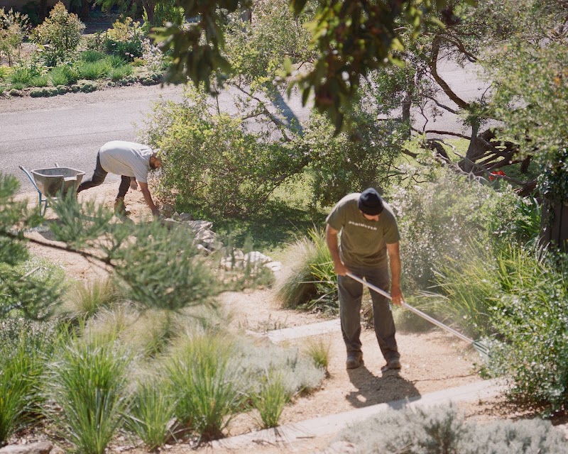 Perimeter Landscaping work 2