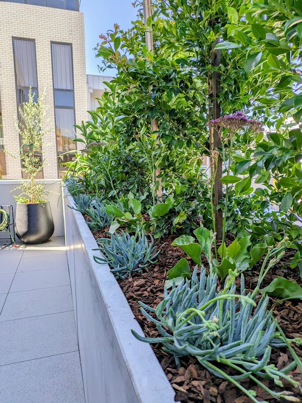Perimeter Landscaping work 4