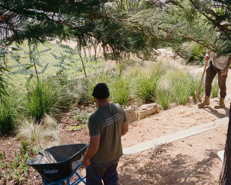 Perimeter Landscaping project 6