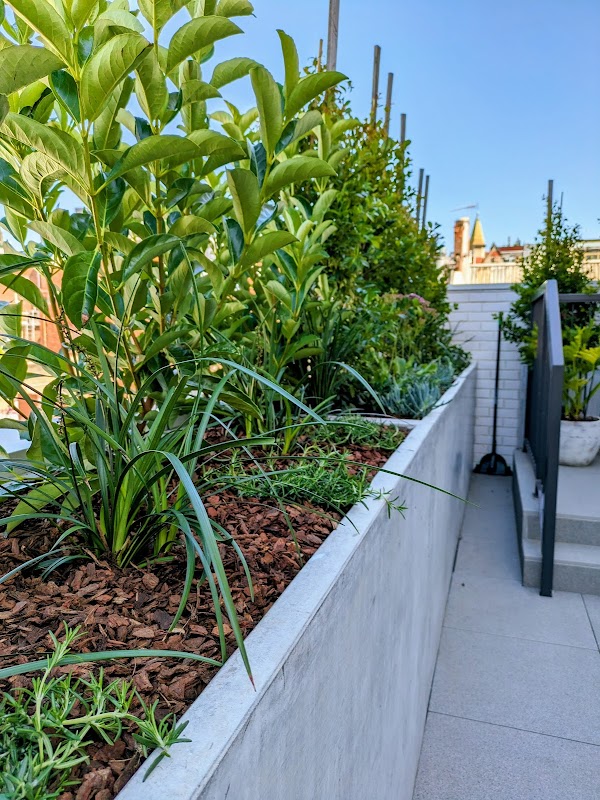 Perimeter Landscaping project 7