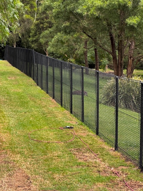 Perry's Timber & Fencing project 4