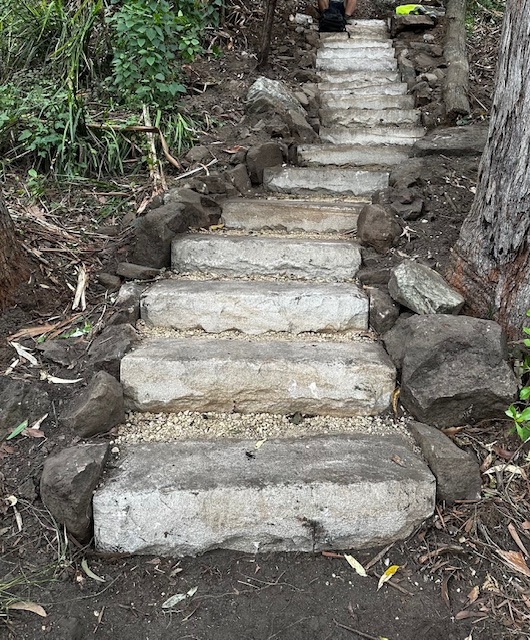 Perry's Timber & Fencing project 7