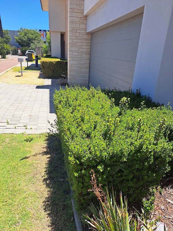 Perth Gardening Experts work 2