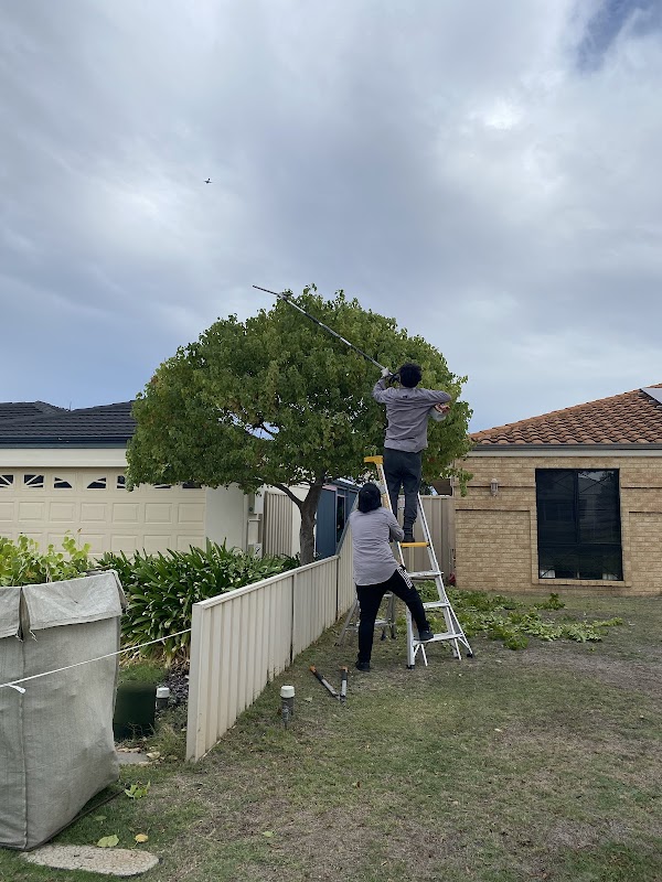 Perth Gardening Experts work 3