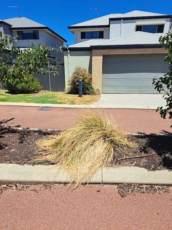 Perth Gardening Experts project 5