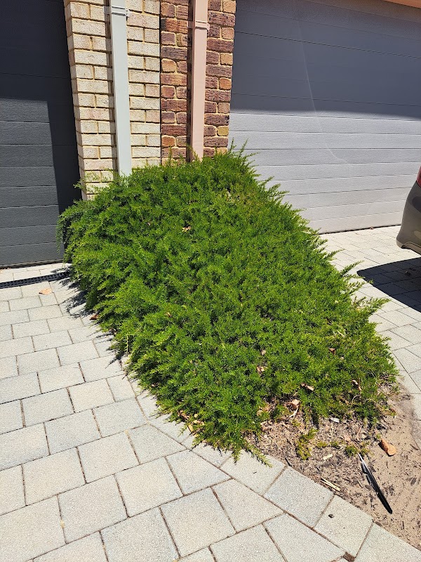 Perth Gardening Experts project 8