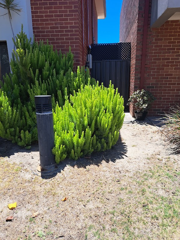 Perth Gardening Experts project 10