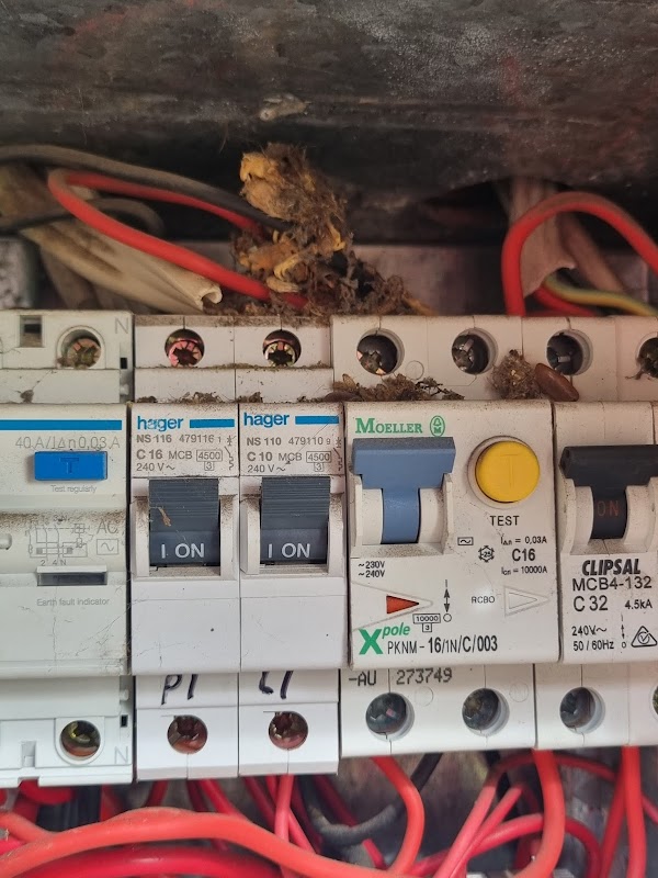 Perth to Rockingham Electricians project 6