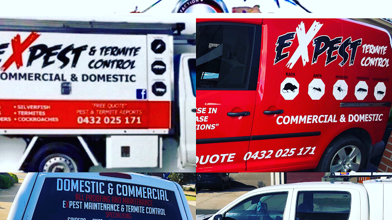 Pest Control Melbourne Ex Pest And Termite Control work 2