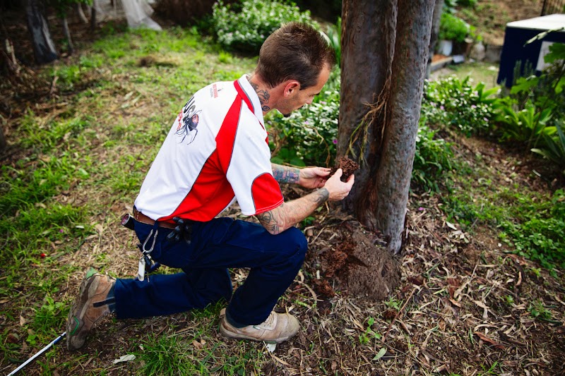 Pest Proofing Solutions project 8