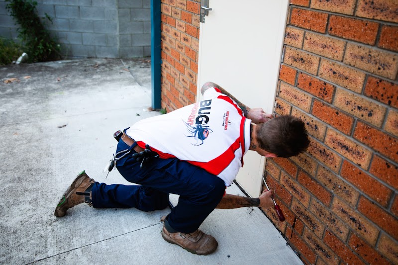 Pest Proofing Solutions project 9