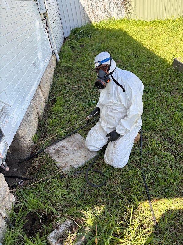 Pest Relief project 5