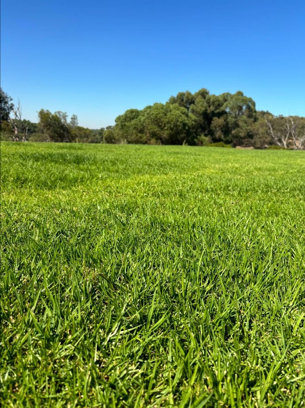 Pioneer Outdoor Solutions photo 3