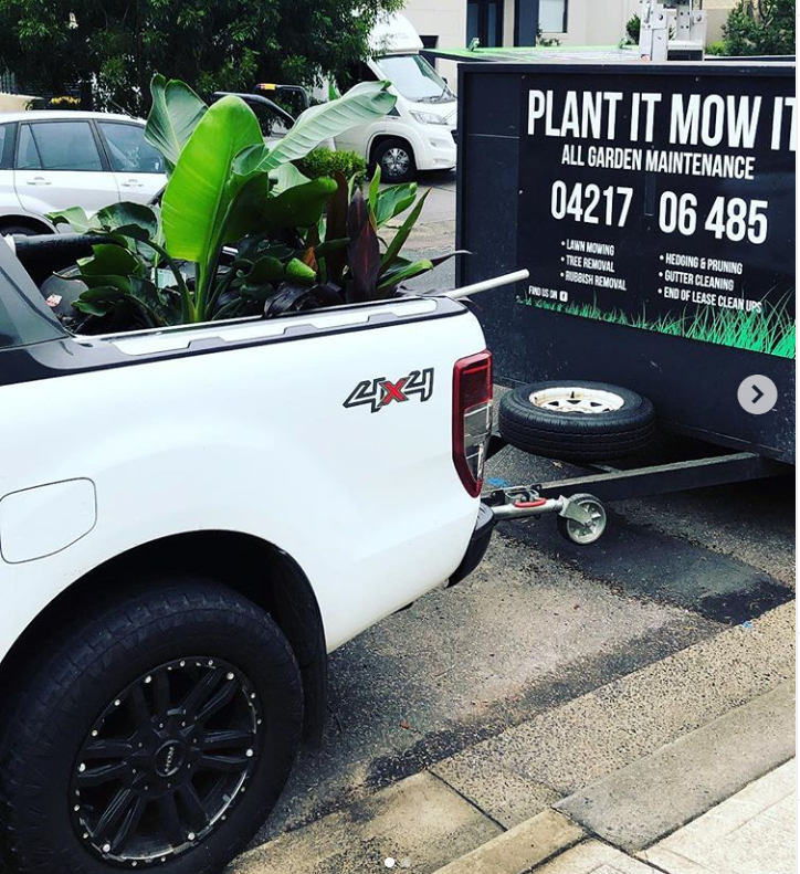 Plant It Mow It project 7