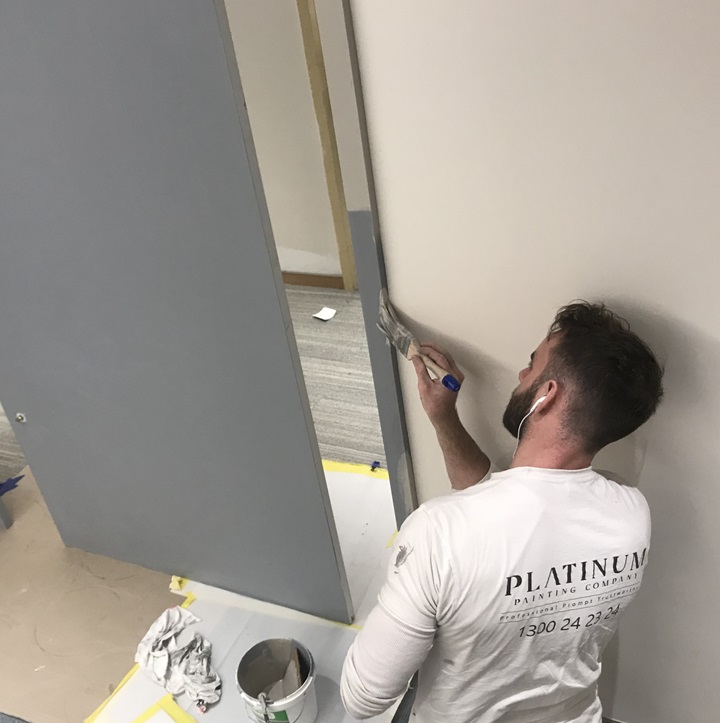 Platinum Painting Company work 3