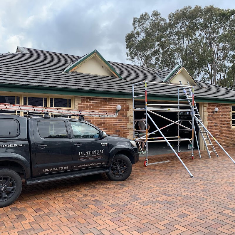 Platinum Painting Company project 7