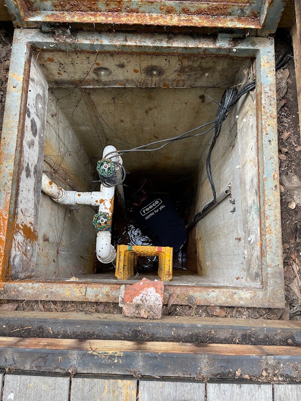 Plumb Point project 4