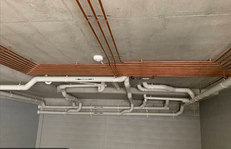 Plumber & Reno Rat project 6