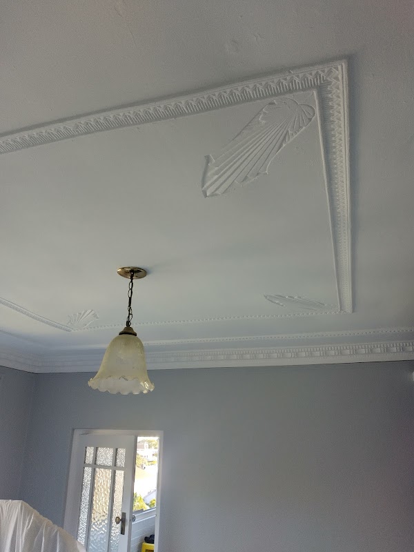 Plume Elite Painting & Decorating work 4