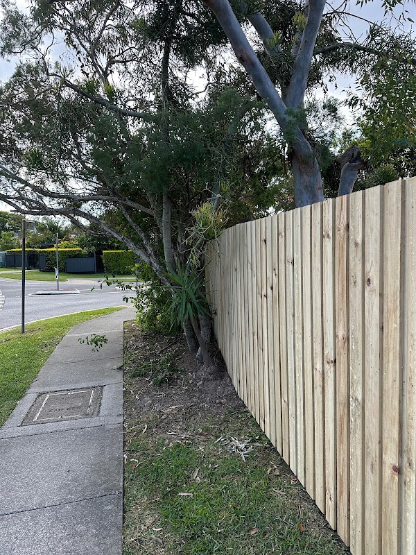 Primary Fencing & Landscaping photo 1